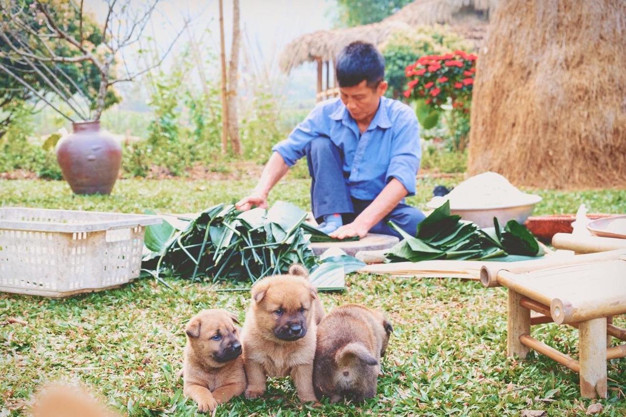 Mai Chau Valley Retreat Εξωτερικό φωτογραφία